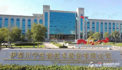 川寧生物創(chuàng)業(yè)板成功上市，引領(lǐng)生物技術(shù)研發(fā)新篇章